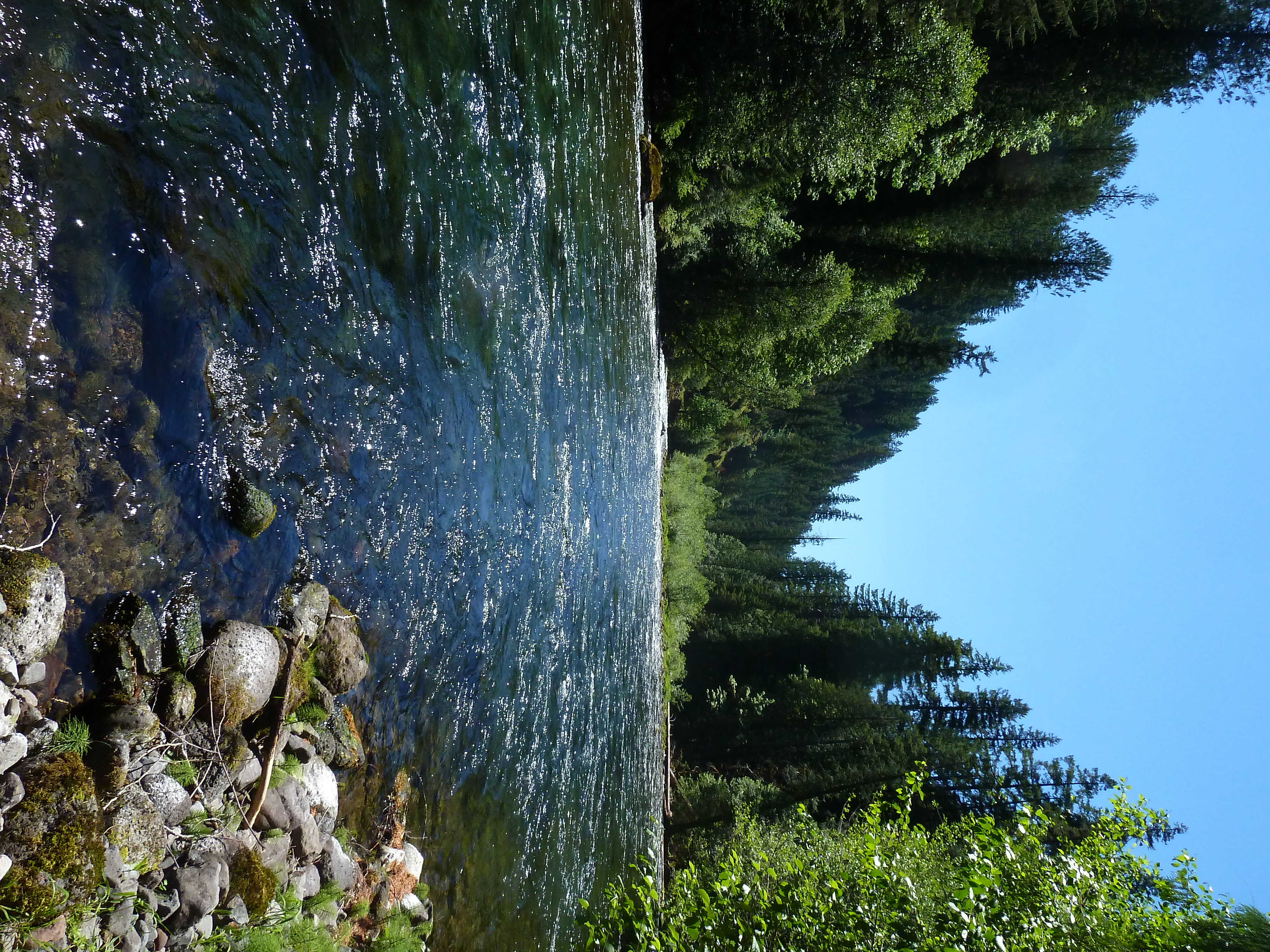 McKenzie River Trail