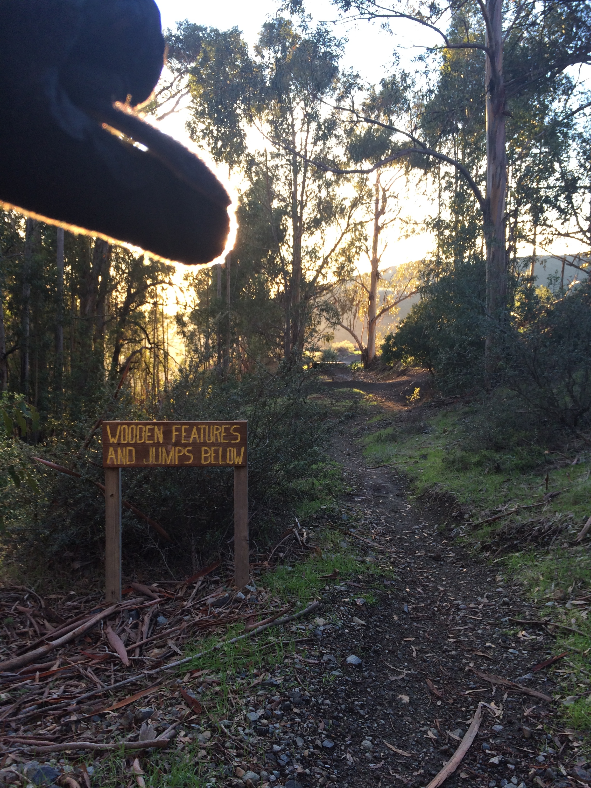 Mountain Bike Cuesta Ridge