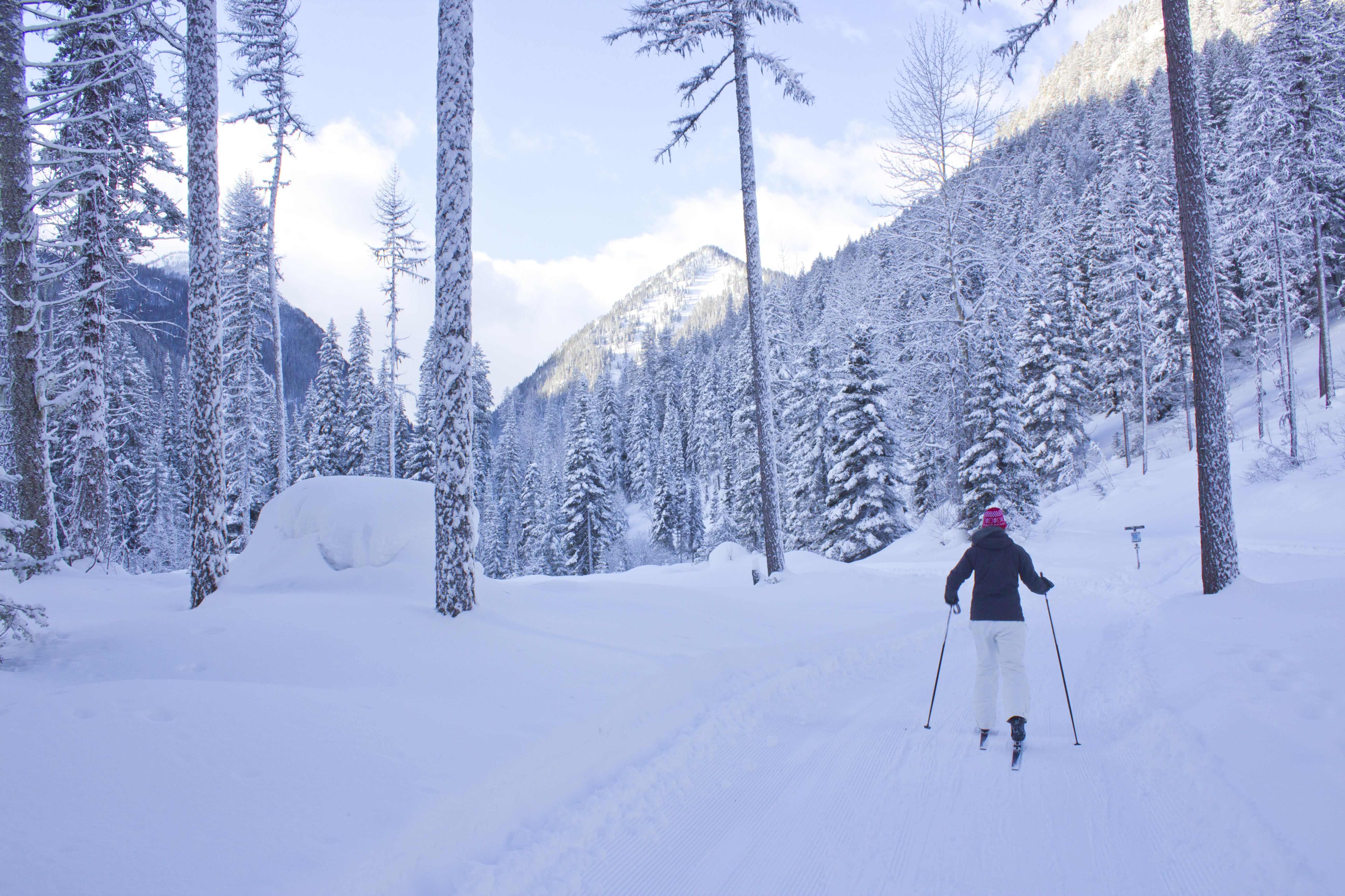Cross Country Ski at Izaak Walton Inn