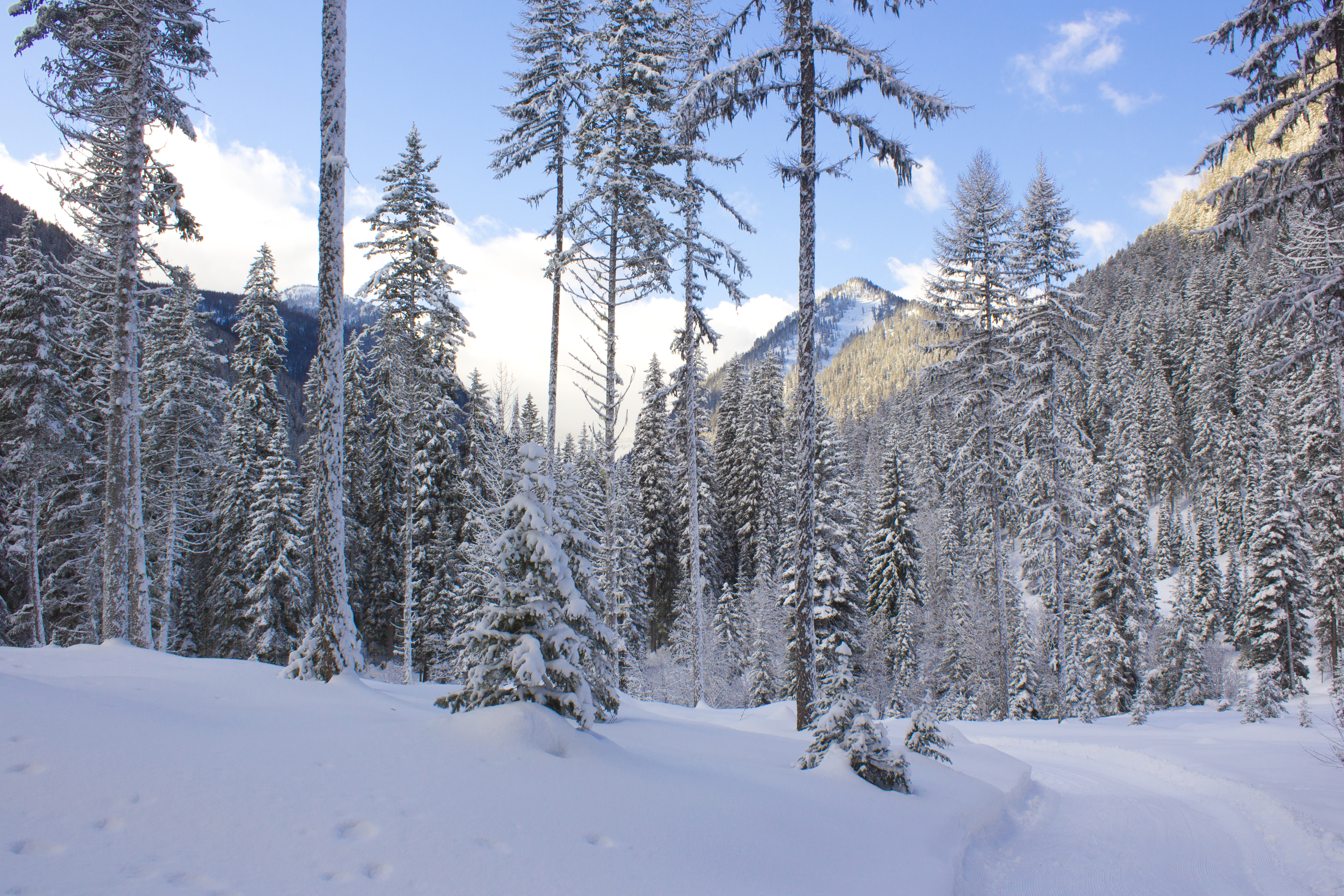 Cross Country Ski at Izaak Walton Inn