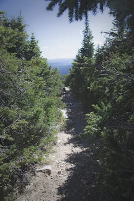 Hike Bald Mountain in the Uintas