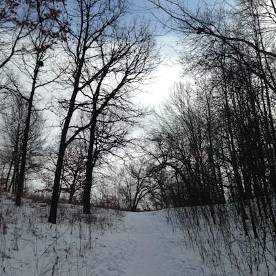 Hike the Winchell Trail 