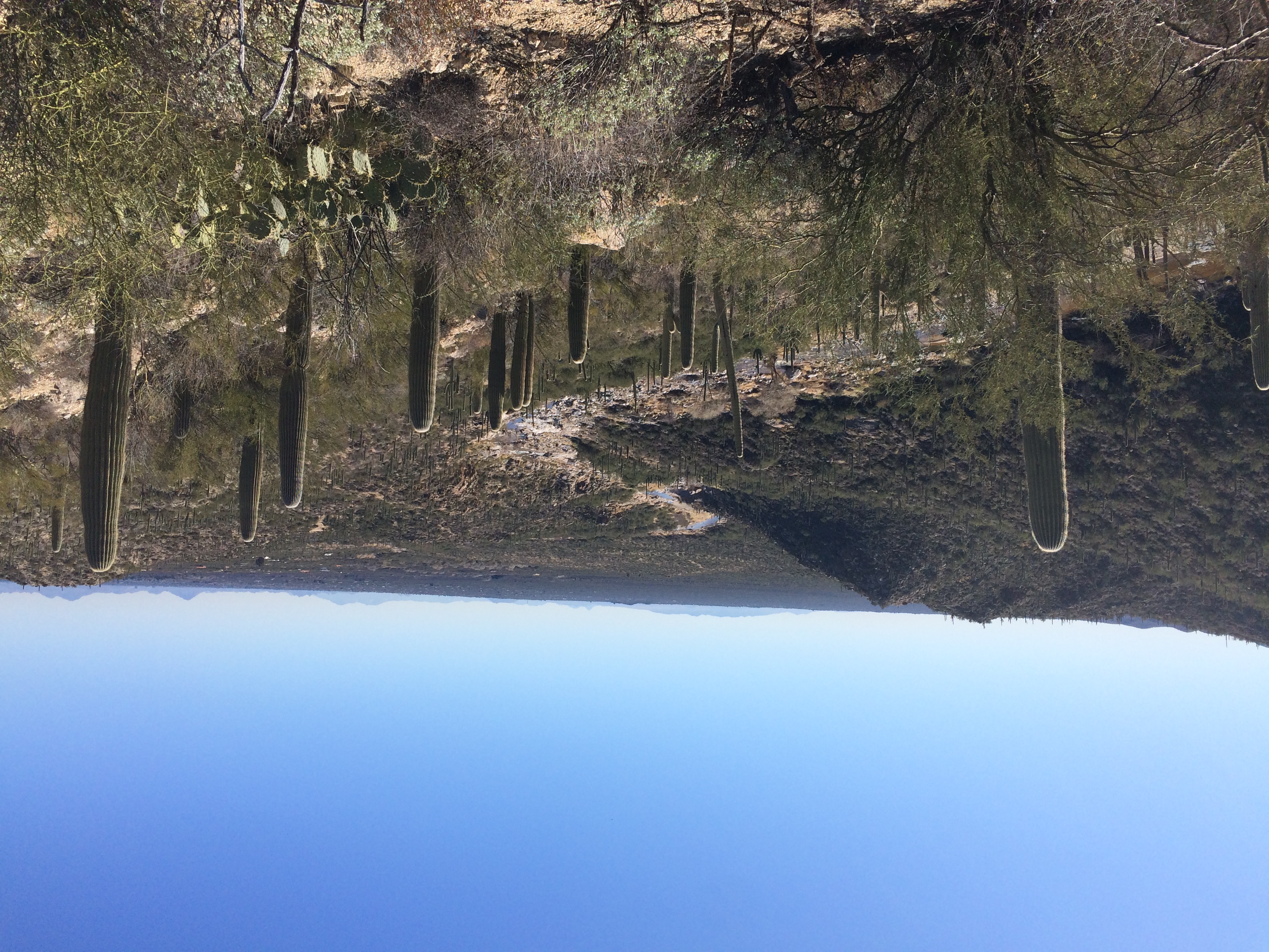 Tanque Verde Falls