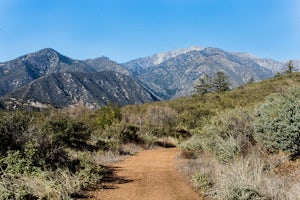 Stoddard Peak Trail