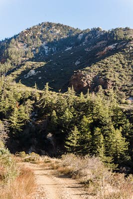 Stoddard Peak Trail