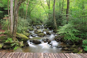 Hike the Jones Gap Loop