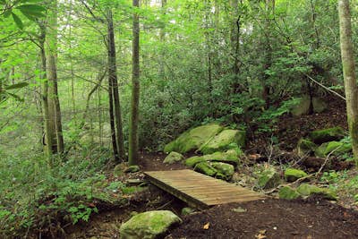 Hike the Jones Gap Loop