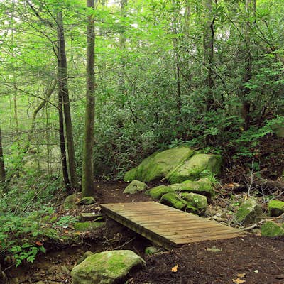 Hike the Jones Gap Loop