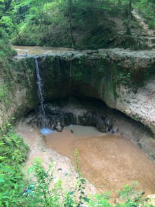 Hike the Clark Creek Primitive Trail