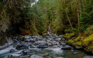 Hike to Rosewall Creek Falls