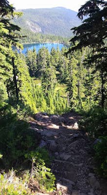Hike the Forbidden Plateau & Mount Albert Edward