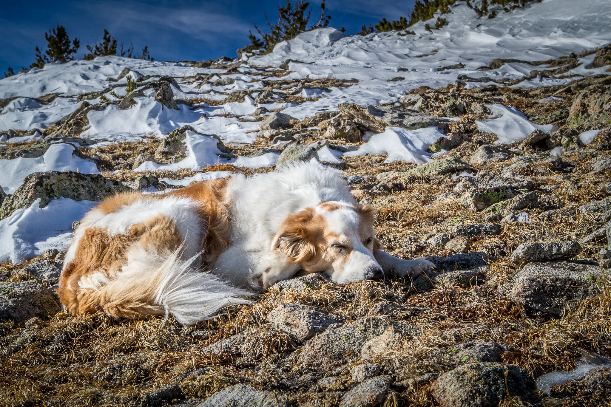 Hike Meadow Mountain 