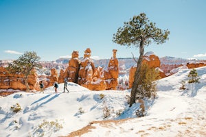 10 Must-Do Winter Adventures In Utah