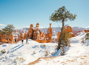 10 Must-Do Winter Adventures In Utah