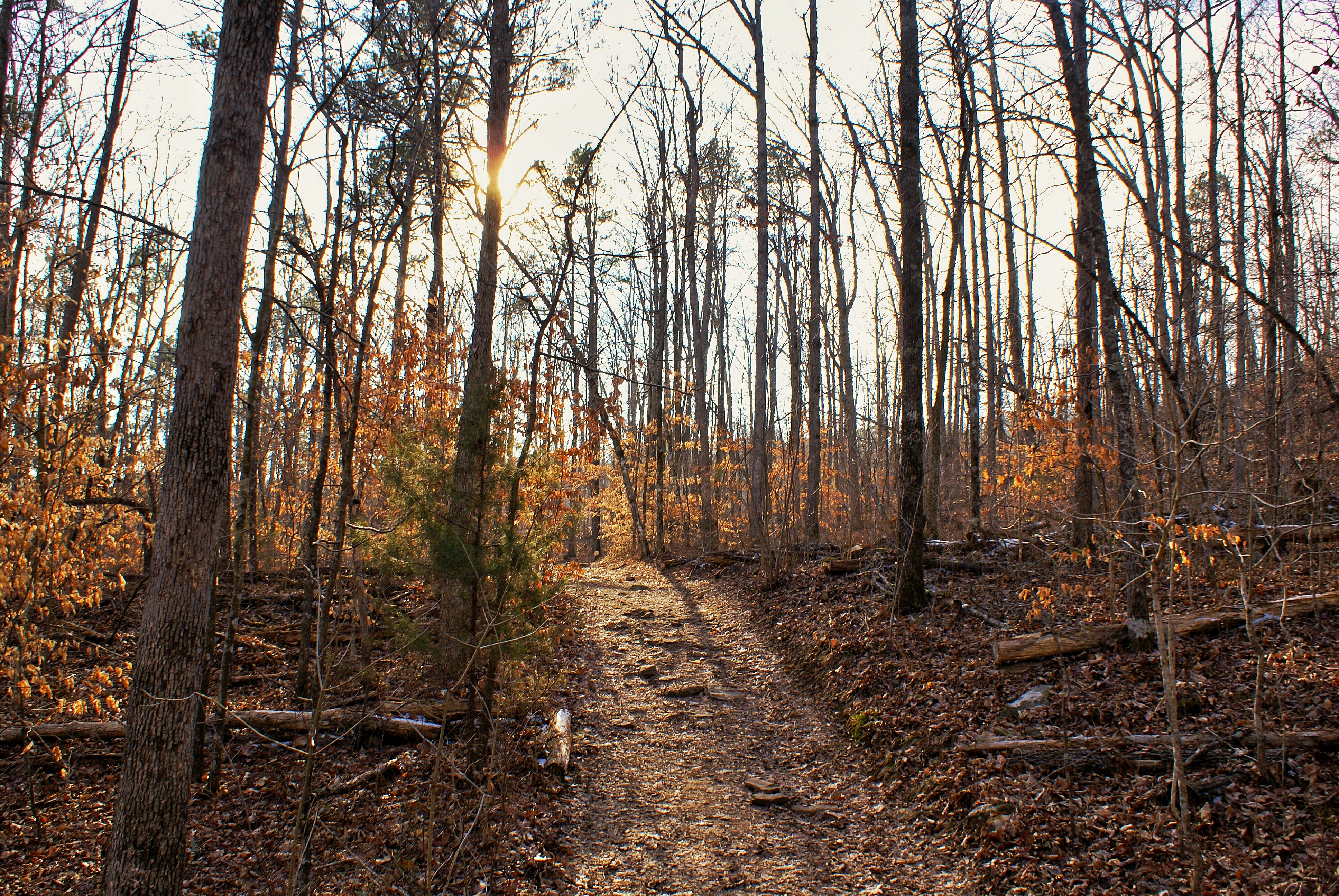 Hike the Glory Hole Falls Trail 