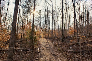 Hike the Glory Hole Falls Trail 