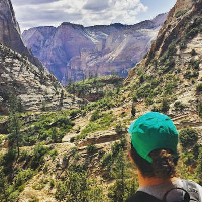 Observation Point in Zion National Park