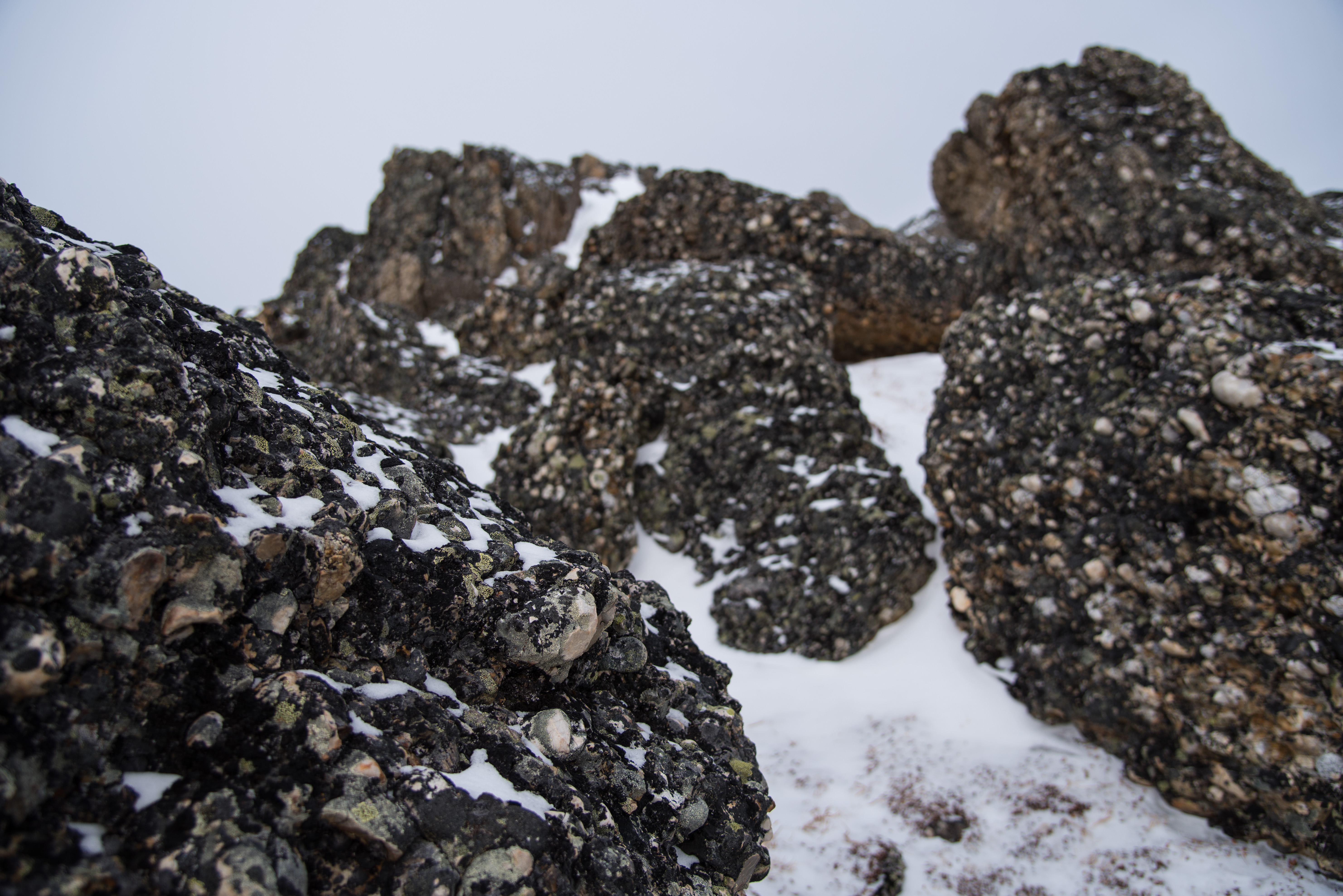 Winter Climb Mount Allan