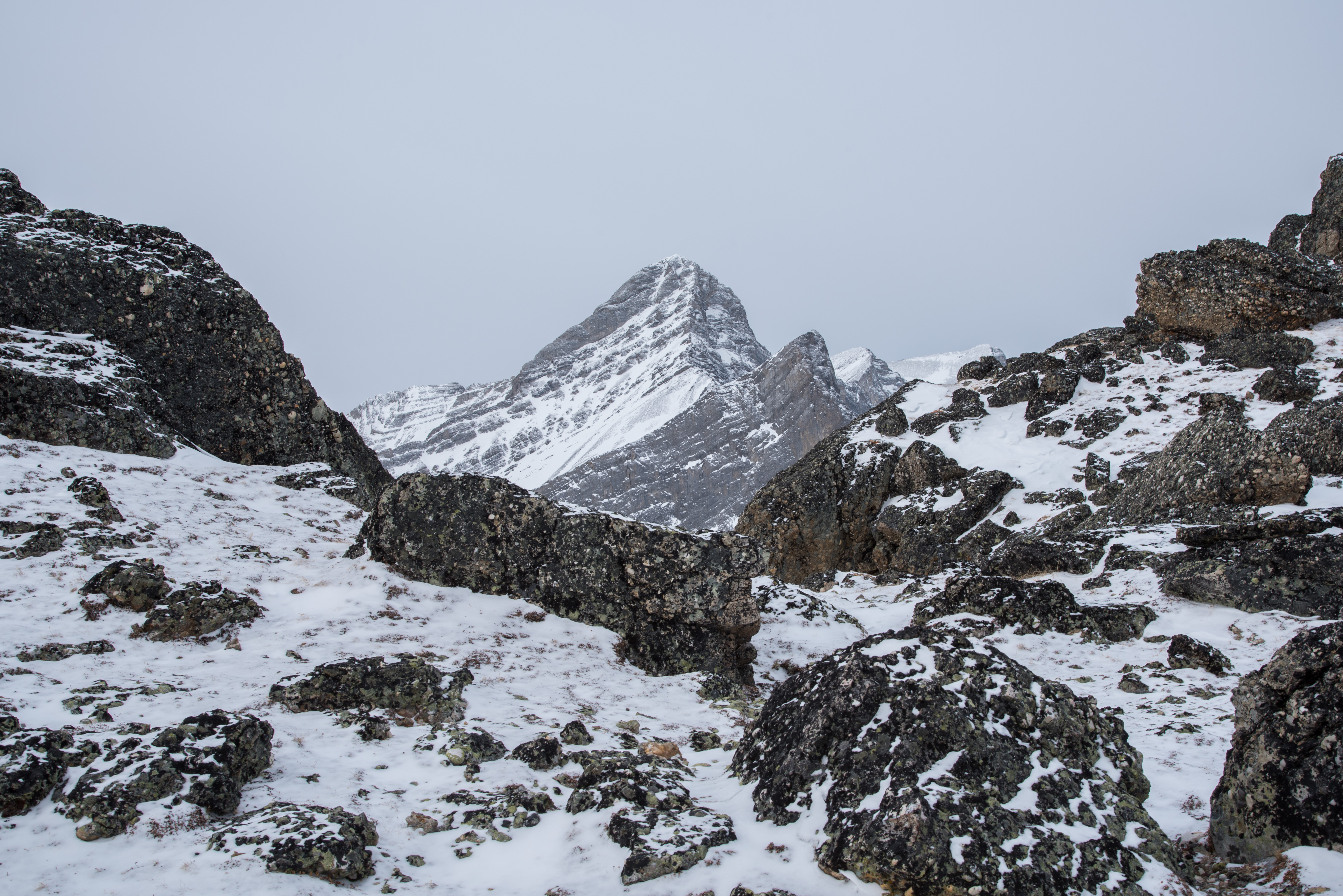 Winter Climb Mount Allan