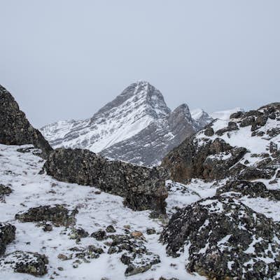 Winter Climb Mount Allan