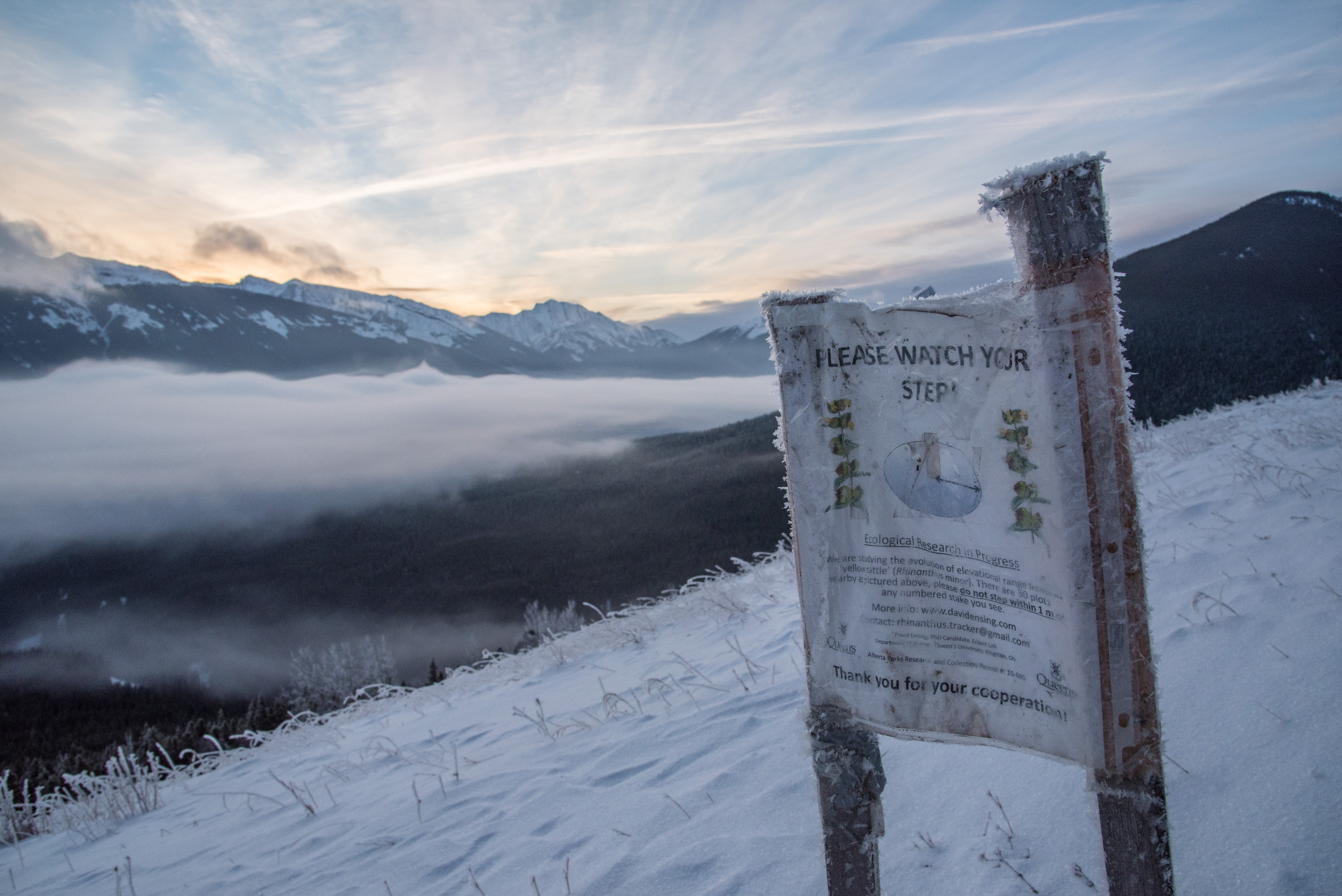 Winter Climb Mount Allan