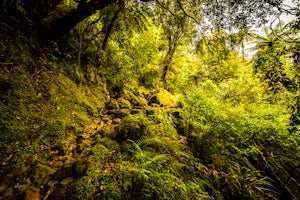 Hike to the Fox River Caves