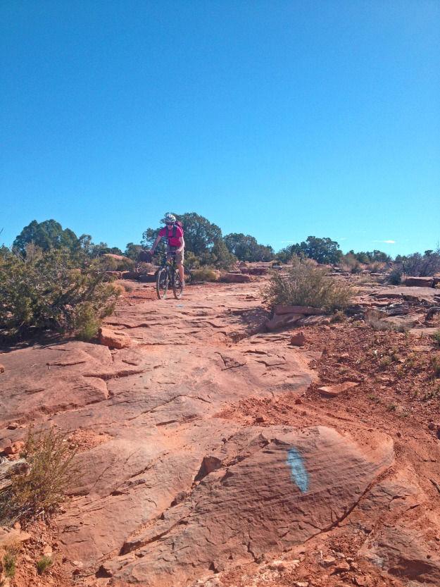 Mountain Bike the Sovereign Trail
