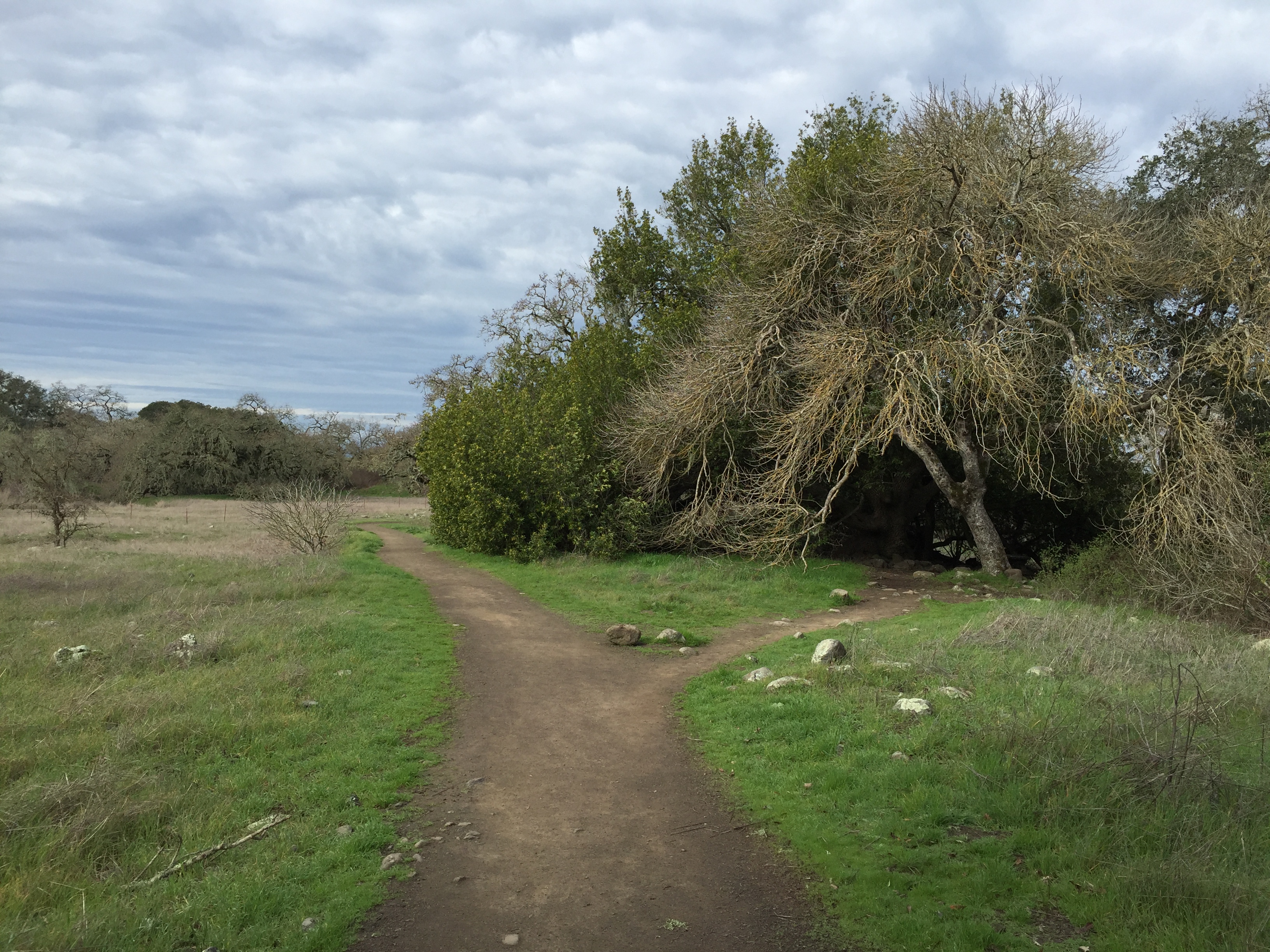 Crane Creek Canyon Loop