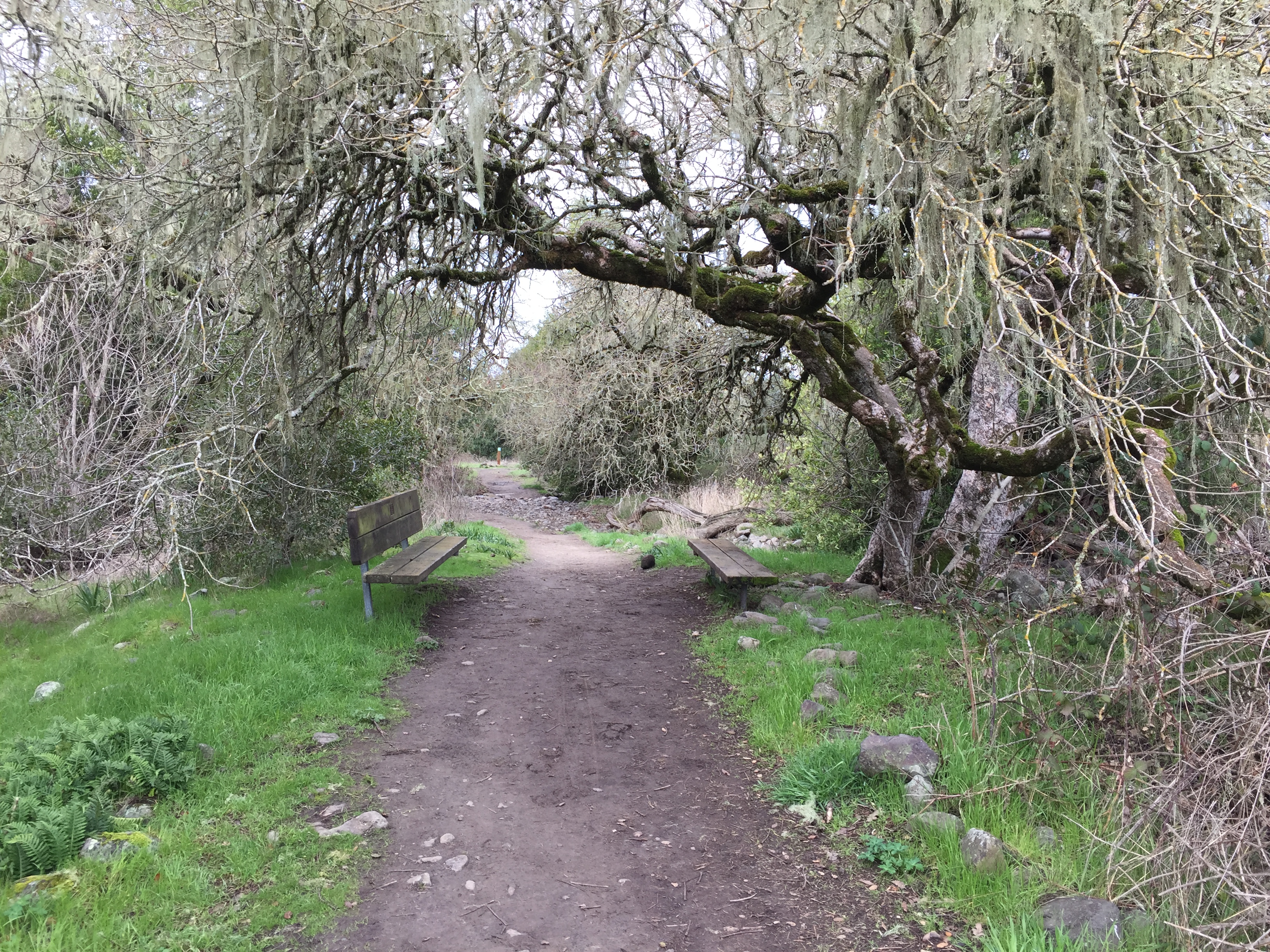 Crane Creek Canyon Loop