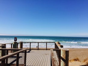 Camp at Bodega Dunes Campground