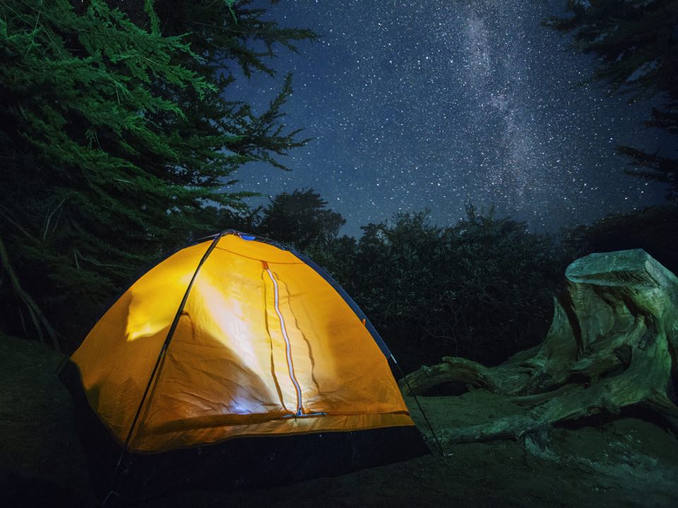 Camp at Bodega Dunes Campground