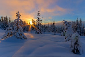 Ski or Snowshoe to Fuji Shelter