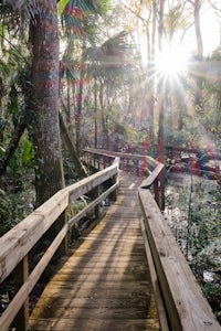Hike the Ancient Hammock Trail