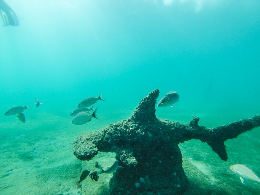 Snorkel at Blue Heron Bridge, West Palm Beach, Florida