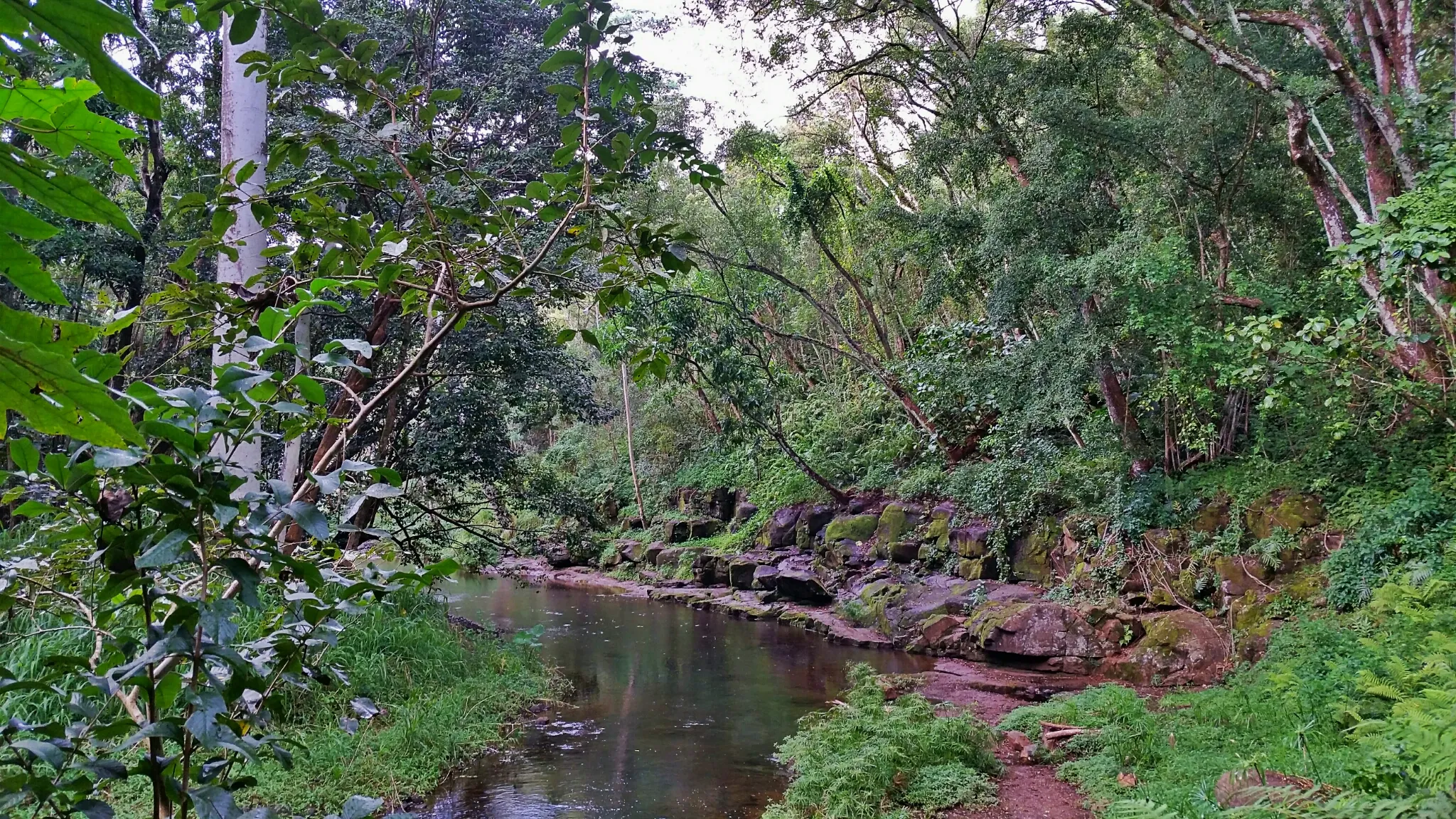 Hike to Ho'opi'i Falls 