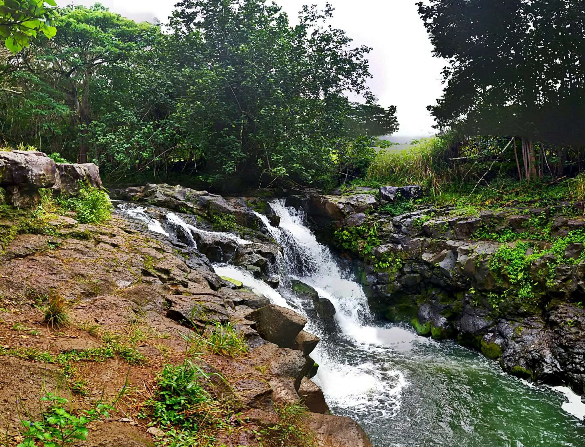 Hike to Ho'opi'i Falls 