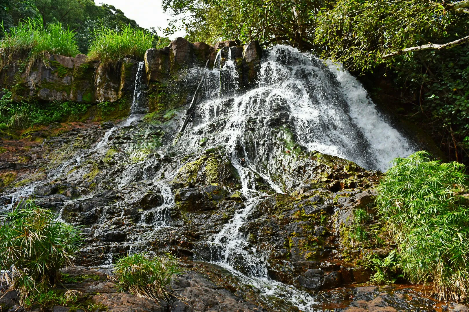 Hike to Ho'opi'i Falls 