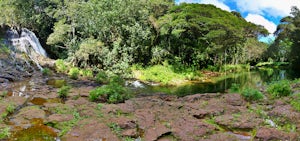 Hike to Ho'opi'i Falls 