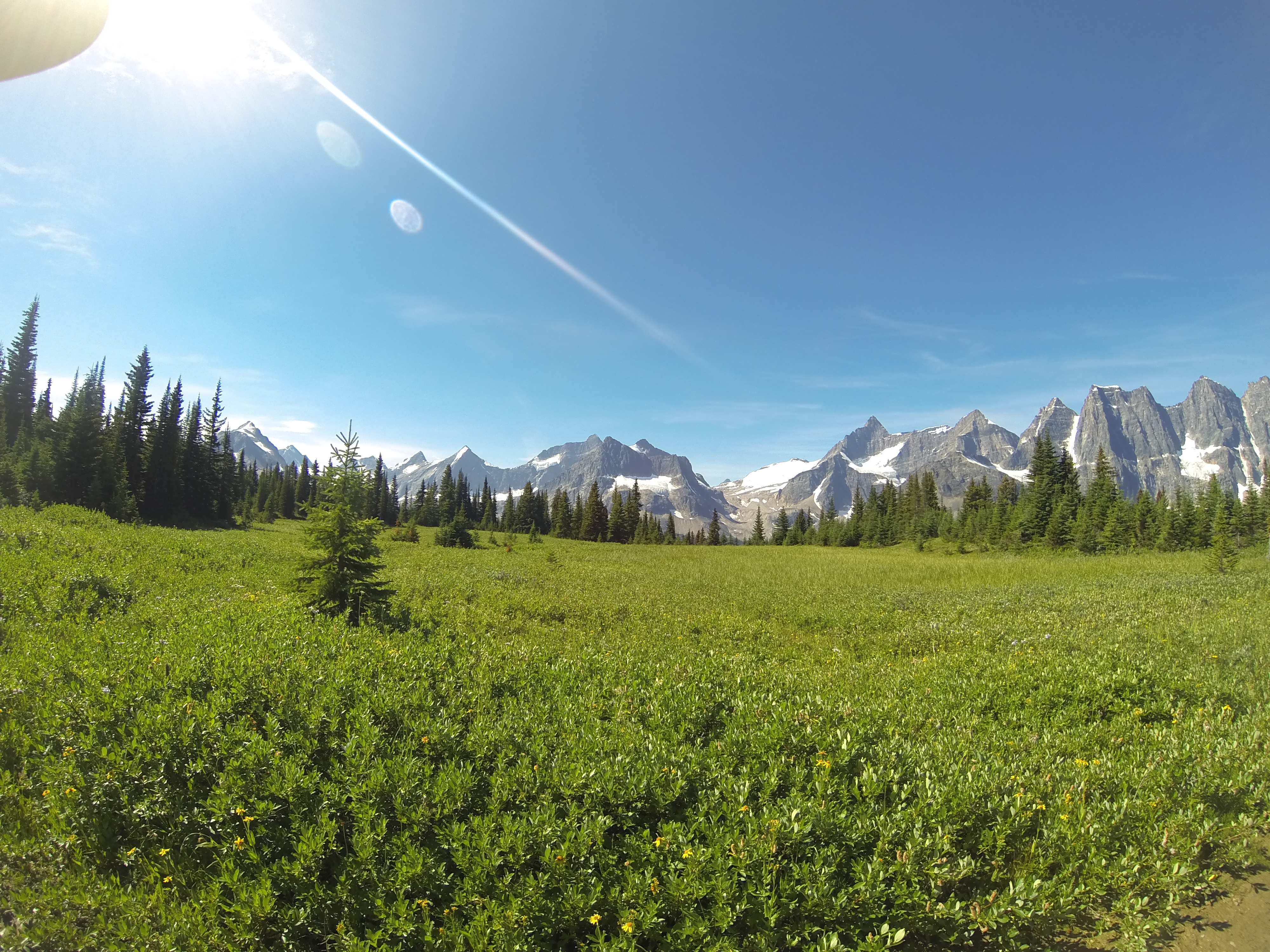 Backpack the Tonquin Valley