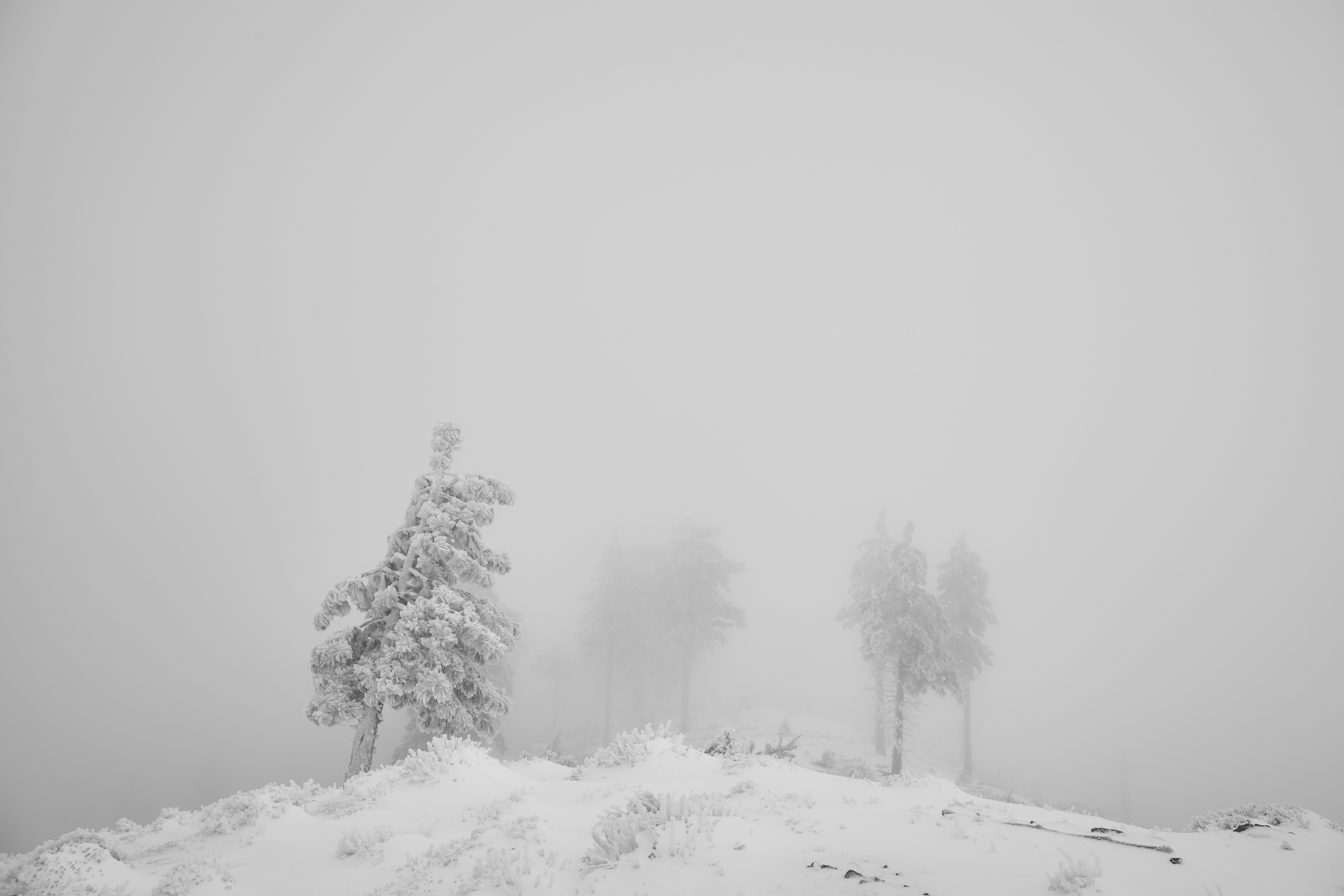 Snow Hike Lightning Ridge