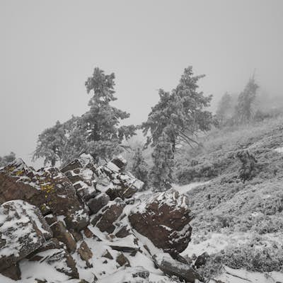Snow Hike Lightning Ridge