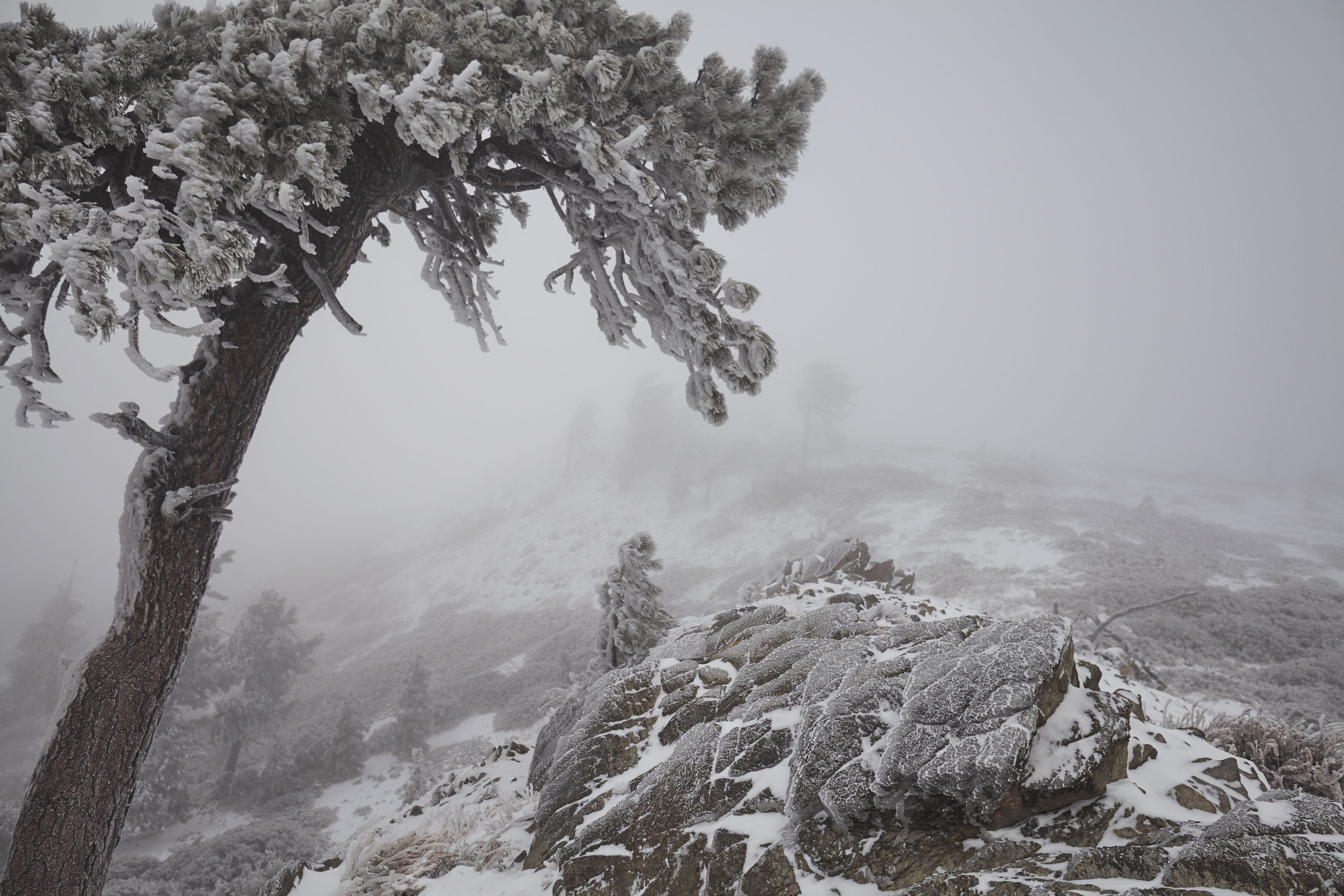Snow Hike Lightning Ridge