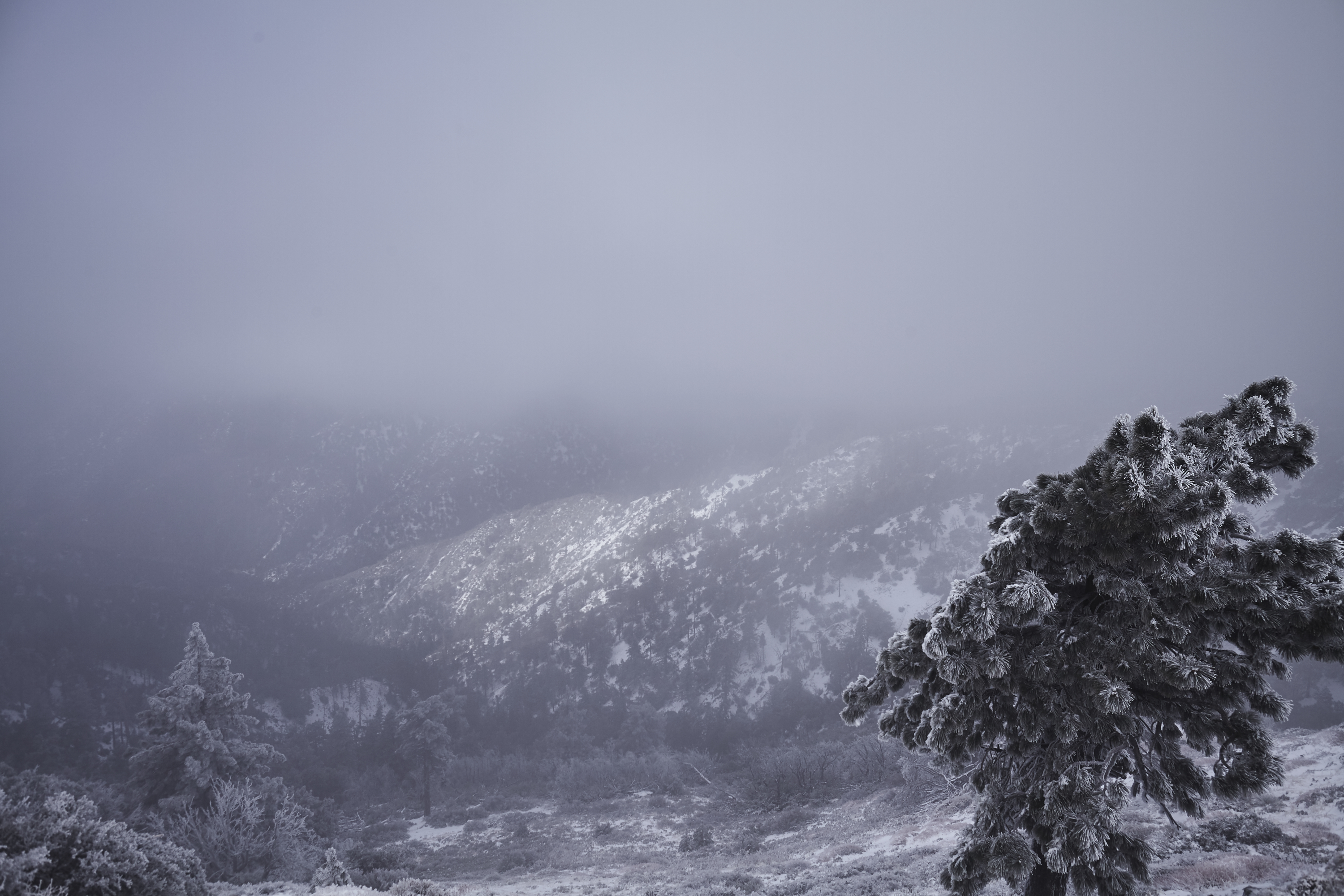 Snow Hike Lightning Ridge