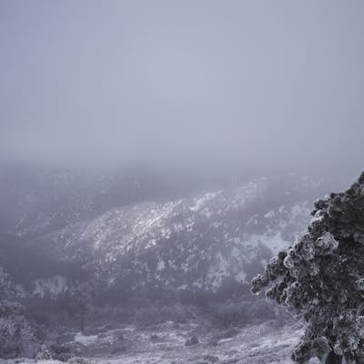 Snow Hike Lightning Ridge