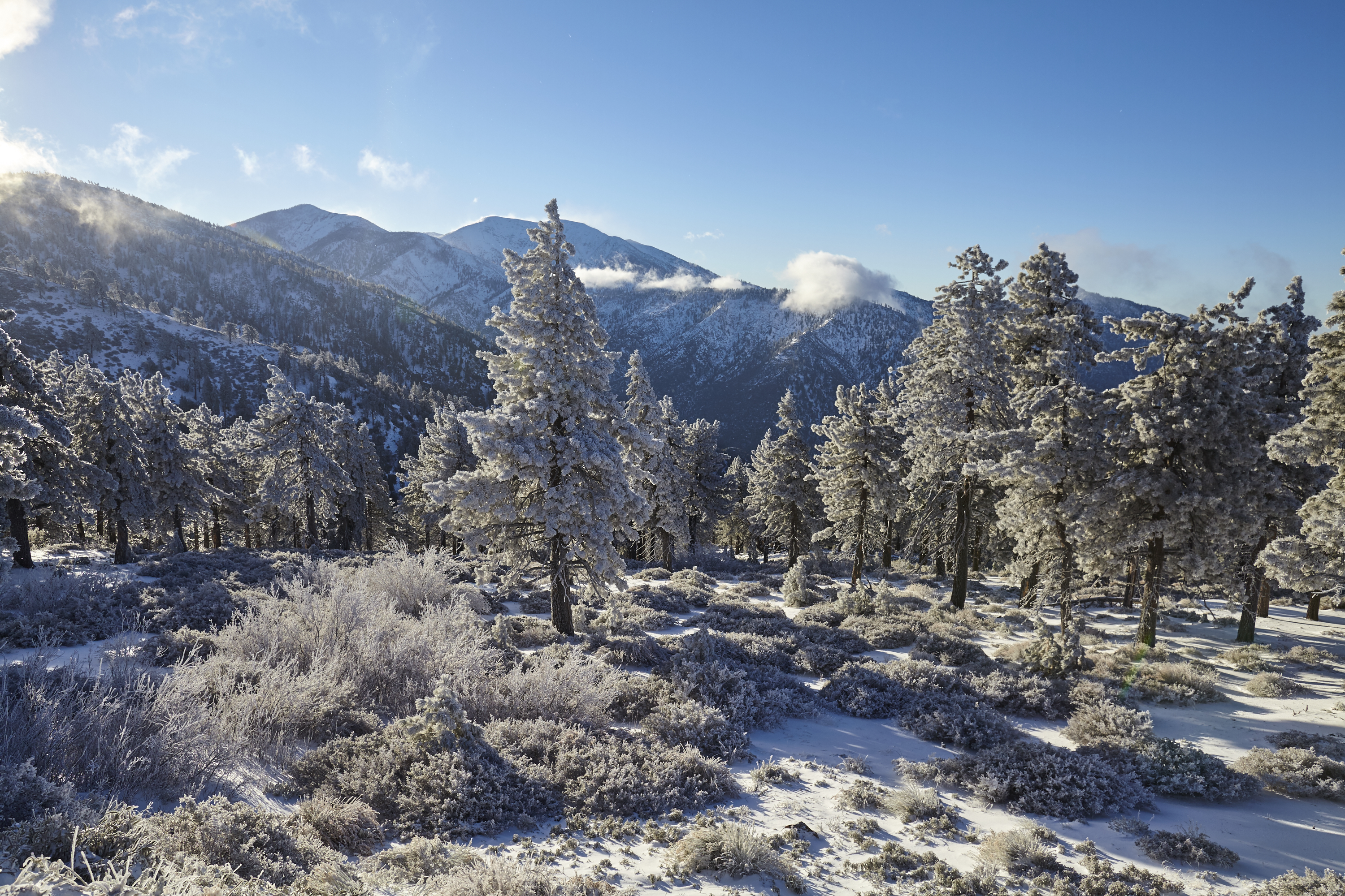 Snow Hike Lightning Ridge, Wrightwood, California