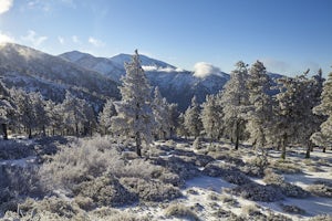 Snow Hike Lightning Ridge