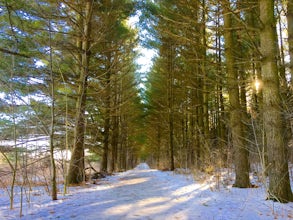 Hike to Loew Lake