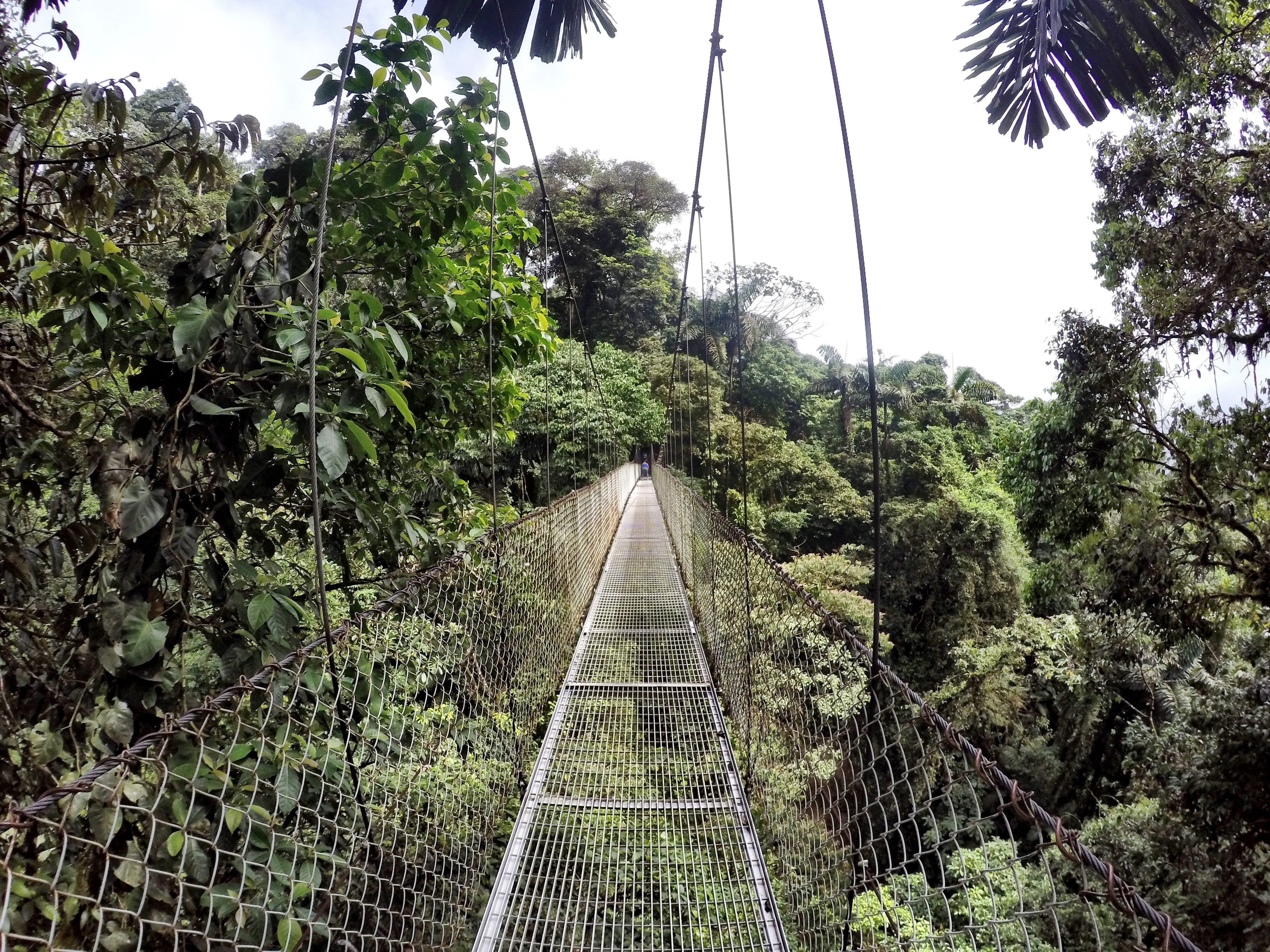 Hike the Mistico Arenal Hanging Bridges