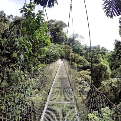 Hike the Mistico Arenal Hanging Bridges