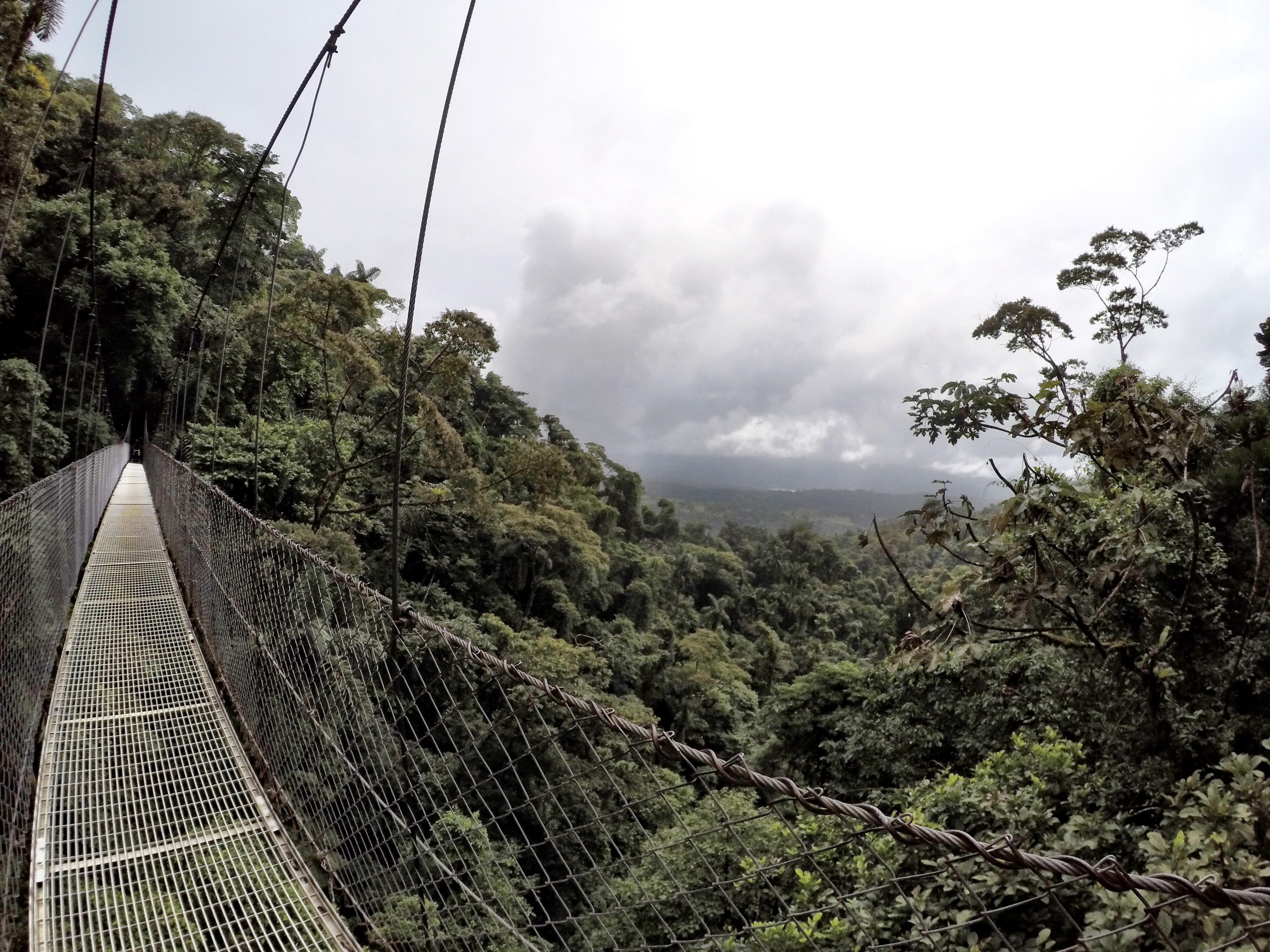 Hike the Mistico Arenal Hanging Bridges